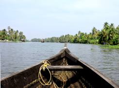 Navegando en los backwaters